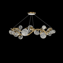 Schonbek Forever SJ22542-26R - Audacity LED 3000K/3500K/4000K/5000K Indoor Hanging Lighting in French Gold with Radiance® Crysta
