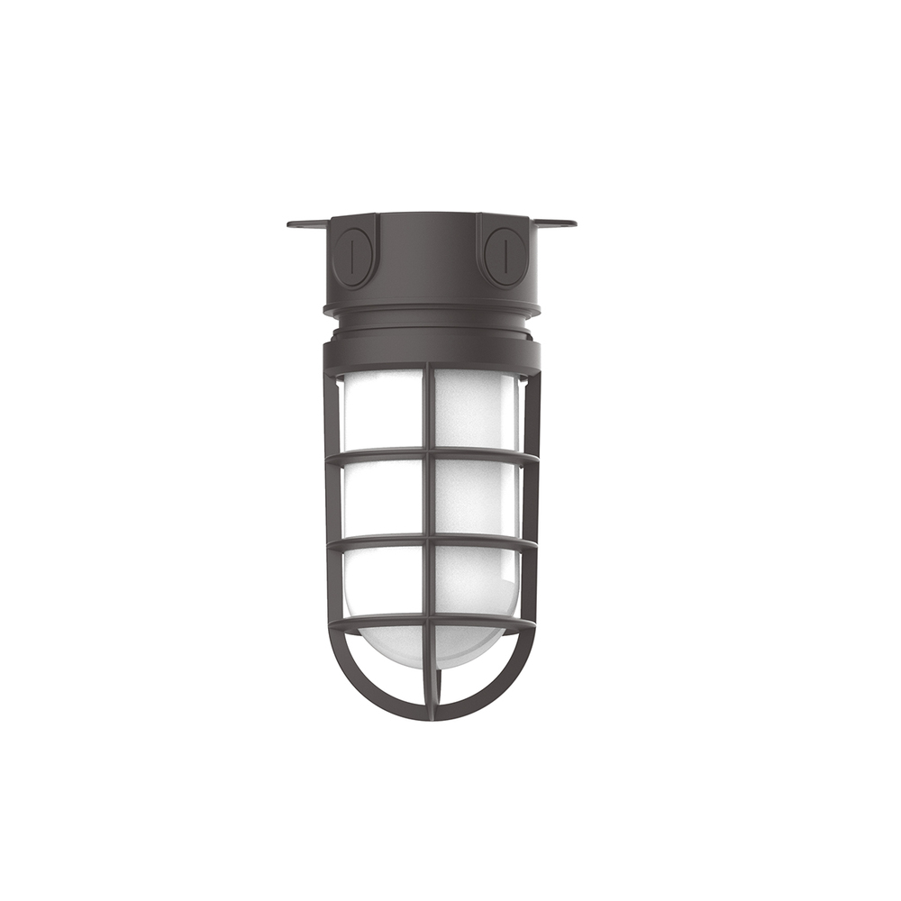 5 1/2" Vaportite flush mount ceiling light with frosted glass and cast guard, Bronze Matte