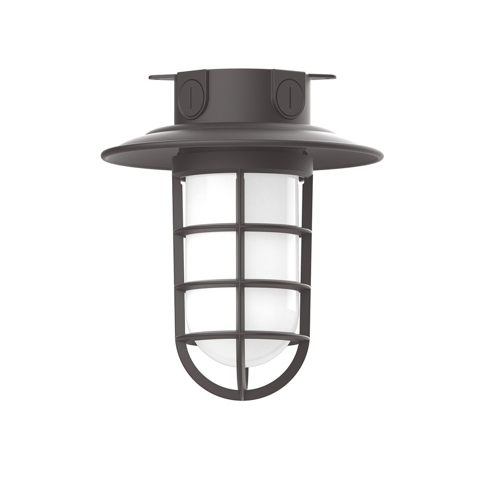 8 1/4" Vaportite flush mount ceiling light with frosted glass and cast guard, Bronze Matte