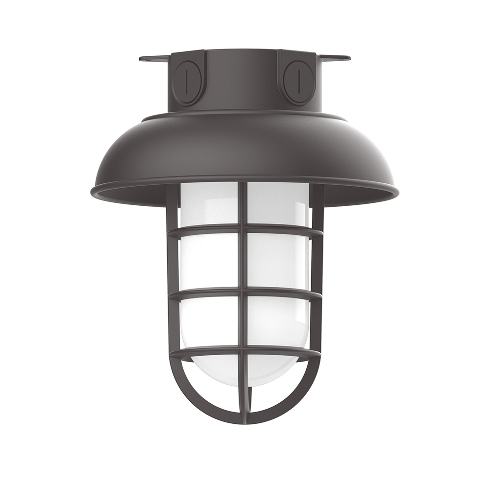 8" Vaportite flush mount ceiling light with frosted glass and cast guard, Bronze Matte