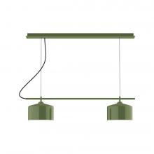 Montclair Light Works CHAX445-22-C21-L12 - 3-Light Linear Axis LED Chandelier with White SJT Cord, Fern Green