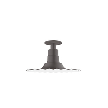 Montclair Light Works FMB158-57-G06 - 12" Radial shade, Flush Mount Light ceiling light with Frosted Glass and cast guard, Bronze Matt