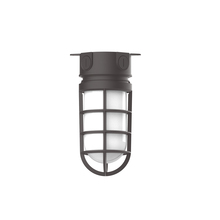 Montclair Light Works FMC050-57-G07 - 5 1/2" Vaportite flush mount ceiling light with frosted glass and cast guard, Bronze Matte