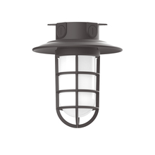 Montclair Light Works FMC052-57-G07 - 8 1/4" Vaportite flush mount ceiling light with frosted glass and cast guard, Bronze Matte