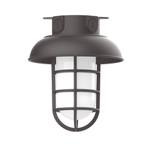 Montclair Light Works FMC060-57-G07 - 8" Vaportite flush mount ceiling light with frosted glass and cast guard, Bronze Matte