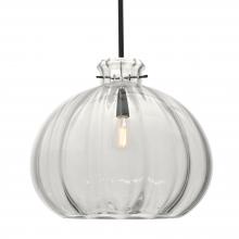 Besa Lighting 1TT-464588-EDIL-BK - Besa Stem Pendant Pinta 12 Clear Black 1x8W LED Filament