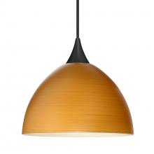 Besa Lighting XP-4679OK-LED-BK - Besa Pendant Brella, Black Finish, Oak 1x5W LED