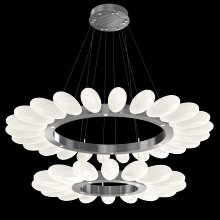 Hammerton CHB0071-2T-GM-WL-CA1-L3 - Fiori Two-Tier Radial Ring