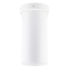 Eglo 204899A - Tortoreto - 1 LT Ceiling Light