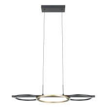 Eglo 205746A - 3 LT Integrated LED Pendant w/ Black Finish & 3 Circular Gold Rings
