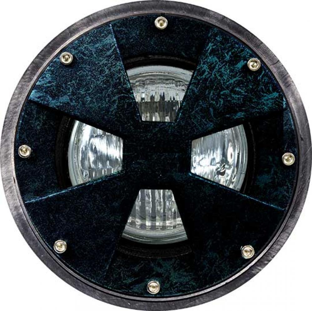 WELL LIGHT W/DRIVEOVER CVR W/ SLV 35W PAR36 12V