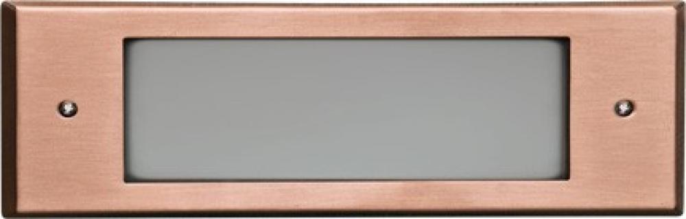 RECESSED OPEN FACE/COPPER CVR HSNG/BRASS 2 X 21W 93/11