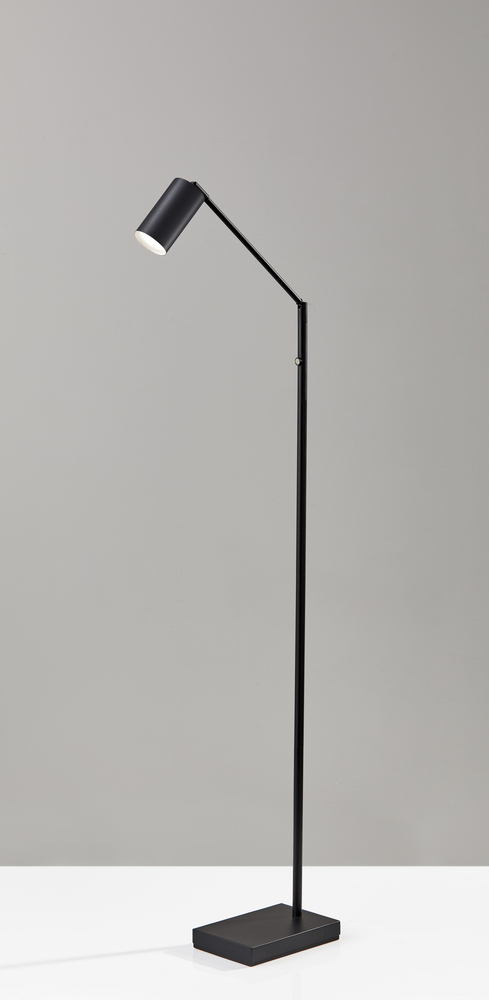 Colby LED Floor Lamp