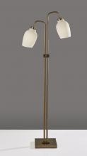 Adesso 3547-21 - Clara 2 Light Floor Lamp