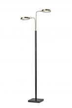 Adesso 4127-01 - Rowan LED Floor Lamp with Smart Switch
