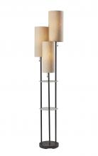 Adesso 4305-01 - Trio Shelf Floor Lamp