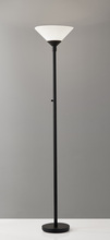 Adesso 7500-01 - Aries 300W Torchiere