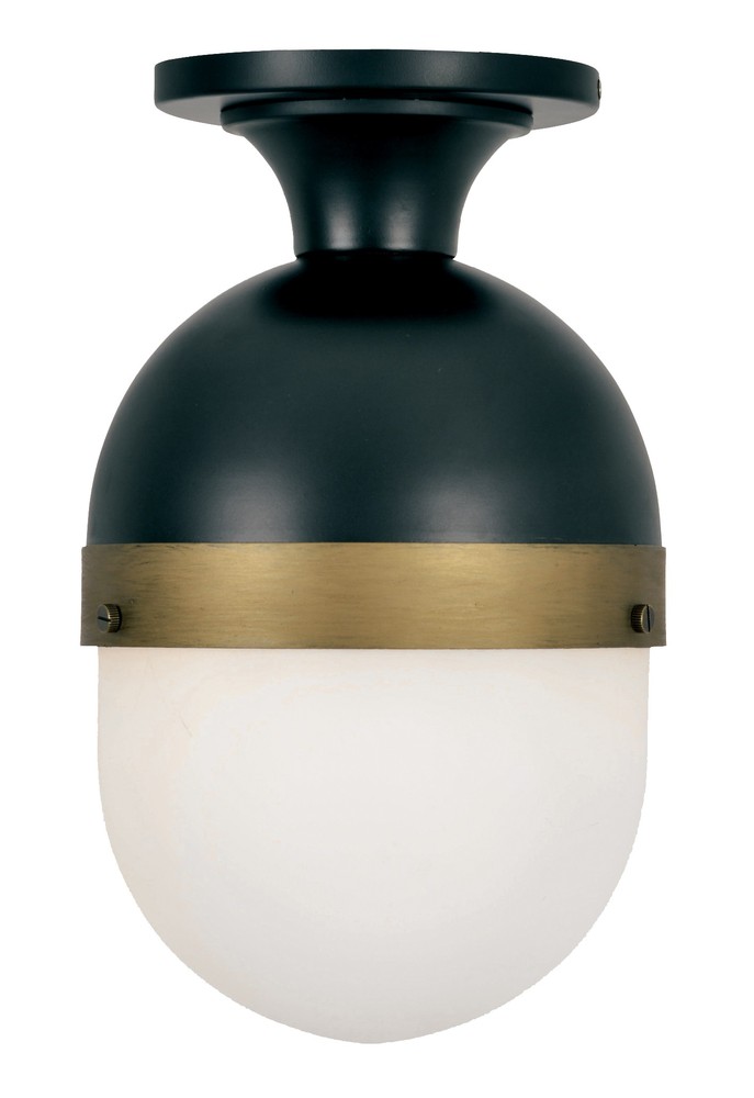 Brian Patrick Flynn for Crystorama Capsule 1 Light Matte Black + Textured Gold Outdoor Ceiling Mount