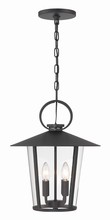 Crystorama AND-9204-CL-MK - Andover 4 Light Matte Black Outdoor Chandelier
