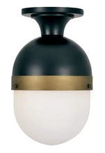 Crystorama CAP-8500-MK-TG - Brian Patrick Flynn for Crystorama Capsule 1 Light Matte Black + Textured Gold Outdoor Ceiling Mount