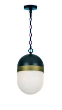 Crystorama CAP-8507-MK-TG - Brian Patrick Flynn for Crystorama Capsule 1 Light Matte Black + Textured Gold Outdoor Pendant