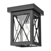 DVI DVP43374BK-CL - COUNTY FAIR OD FLUSH MOUNT