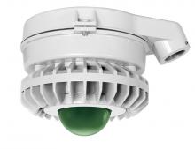 RAB Lighting HAZXLED42FG - HAZLED 42W COOL LED CEILING GREEN FROSTED GLOBE GRAY