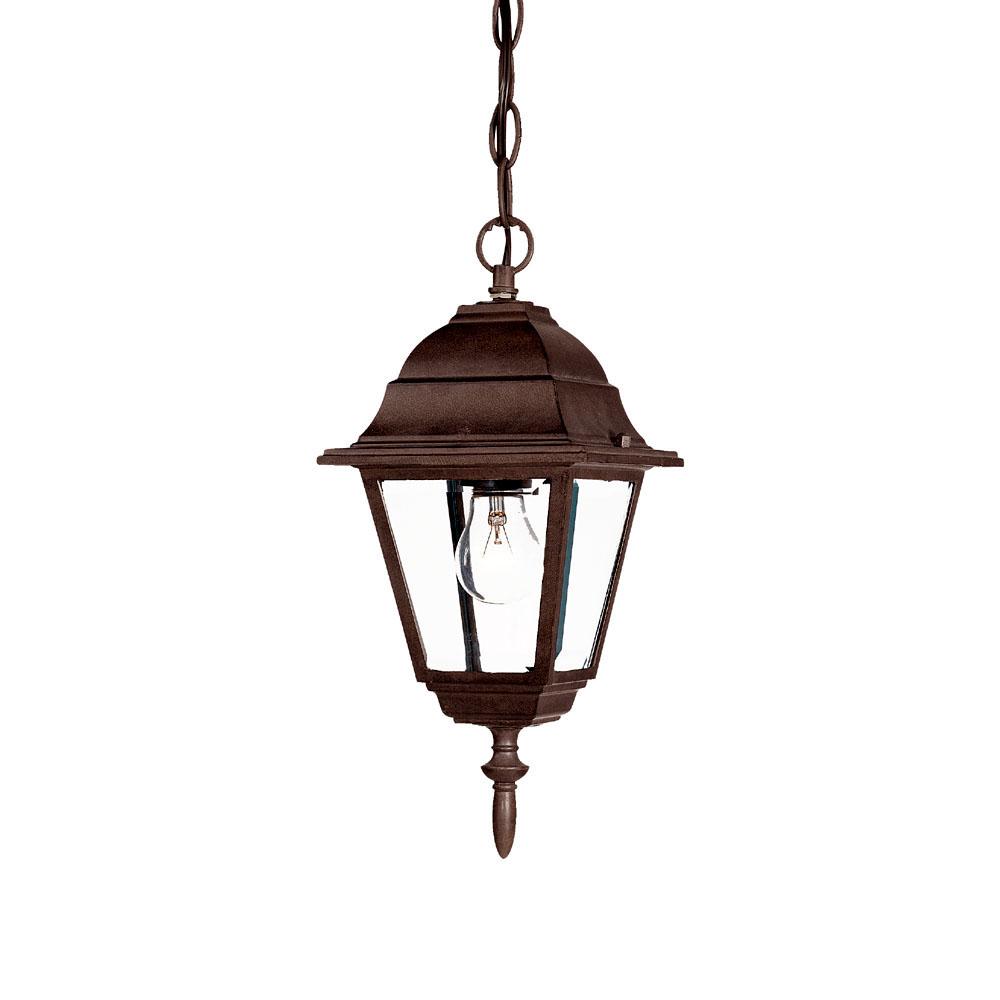 Builder's Choice Collection 1-Light Outdoor Burled Walnut Hanging Lantern