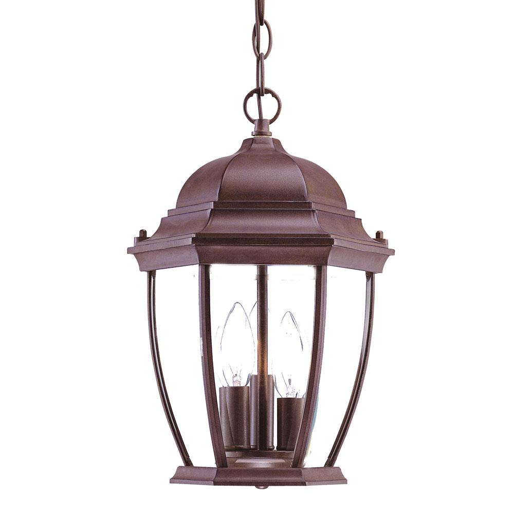 Wexford Collection Hanging Lantern 3-Light Outdoor Burled Walnut Light Fixture