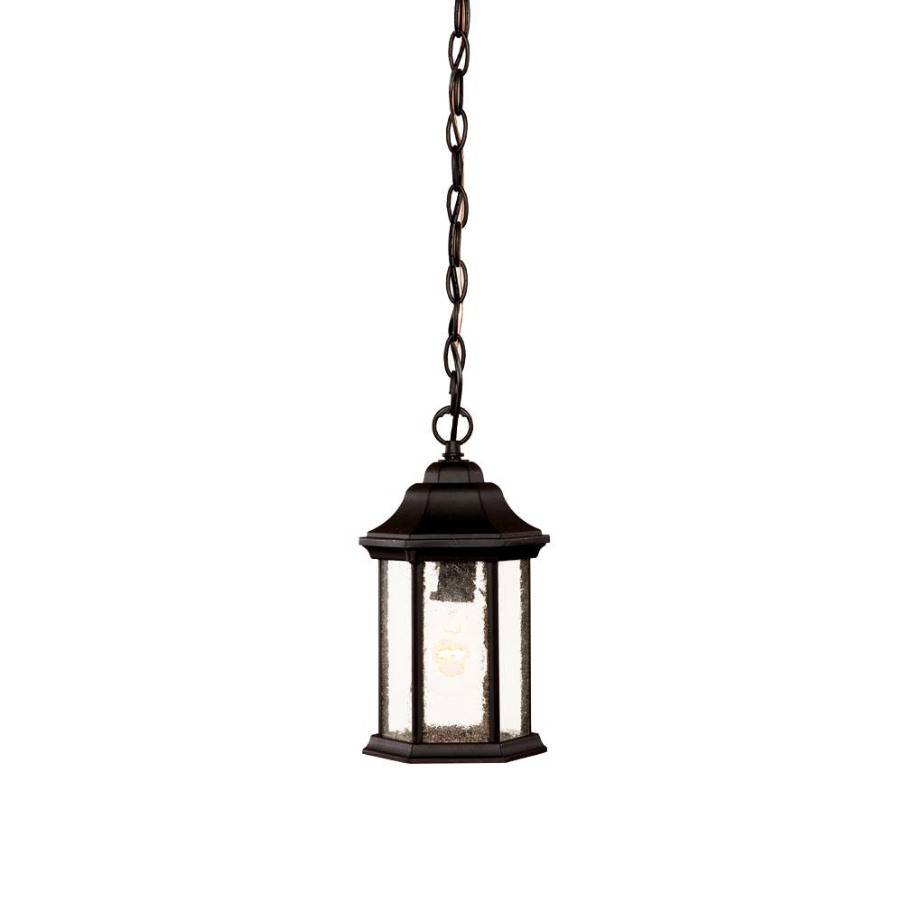 Madison Collection Hanging Lantern 1-Light Outdoor Matte Black Light Fixture