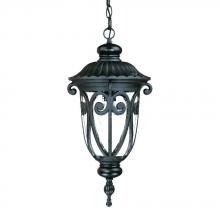 Acclaim Lighting 2116BK - Naples Collection Hanging Lantern 1-Light Outdoor Matte Black Light Fixture