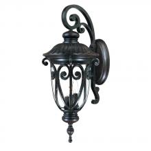 Acclaim Lighting 2122MM - Naples Collection Wall-Mount 3-Light Outdoor Marbleized Mahogany Light Fixture