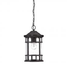 Acclaim Lighting 31946BC - Vista II Collection Hanging Lantern 1-Light Outdoor Black Coral Light Fixture