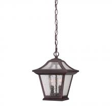 Acclaim Lighting 39016ABZ - Aiken Collection Hanging Lantern 2-Light Outdoor Architectural Bronze Light Fixture