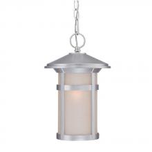 Acclaim Lighting 39106BS - Phoenix Collection Hanging Lantern 1-Light Outdoor Brushed Silver Light Fixture