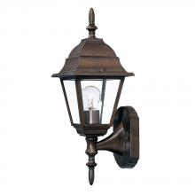Acclaim Lighting 4001BW - Builder's Choice Collection Wall-Mount 1-Light Outdoor Burled Walnut Fixture