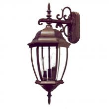 Acclaim Lighting 5012BW - Wexford Collection Wall-Mount 3-Light Outdoor Burled Walnut Light Fixture