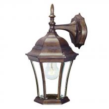 Acclaim Lighting 5022BW - Bryn Mawr Collection Wall-Mount 1-Light Outdoor Burled Walnut Light Fixture