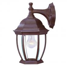 Acclaim Lighting 5035BW - Wexford Collection Wall-Mount 1-Light Outdoor Burled Walnut Light Fixture