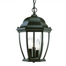 Acclaim Lighting 5036BK - Wexford Collection Hanging Lantern 3-Light Outdoor Matte Black Light Fixture