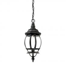 Acclaim Lighting 5056BK - Chateau Collection Hanging Lantern 1-Light Outdoor Matte Black Light Fixture