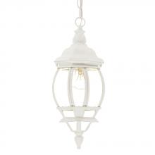 Acclaim Lighting 5056TW - Chateau Collection Hanging Lantern 1-Light Outdoor Textured White Light Fixture