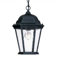 Acclaim Lighting 5206BK/SD - Richmond Collection Hanging Lantern 1-Light Outdoor Matte Black Light Fixture