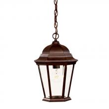 Acclaim Lighting 5206BW - Richmond Collection Hanging Lantern 1-Light Outdoor Burled Walnut Light Fixture