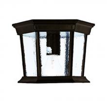 Acclaim Lighting 5275BW - Dover Collection Ceiling-Mount 1-Light Outdoor Burled Walnut Light Fixture
