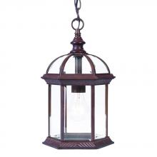 Acclaim Lighting 5276BW - Dover Collection Hanging Lantern 1-Light Outdoor Burled Walnut Light Fixture