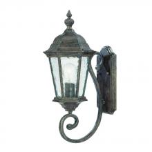 Acclaim Lighting 5501BC - Telfair Collection Wall-Mount 1-Light Outdoor Black Coral Light Fixture
