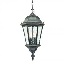 Acclaim Lighting 5516BC - Telfair Collection Hanging Lantern 2-Light Outdoor Black Coral Light Fixture