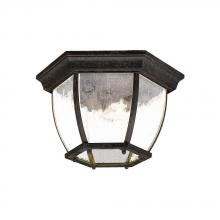 Acclaim Lighting 5602BC/SD - Flushmount Collection Ceiling-Mount 3-Light Outdoor Black Coral Light Fixture