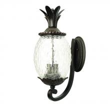 Acclaim Lighting 7501BC - Lanai Collection Wall-Mount 2-Light Outdoor Black Coral Light Fixture